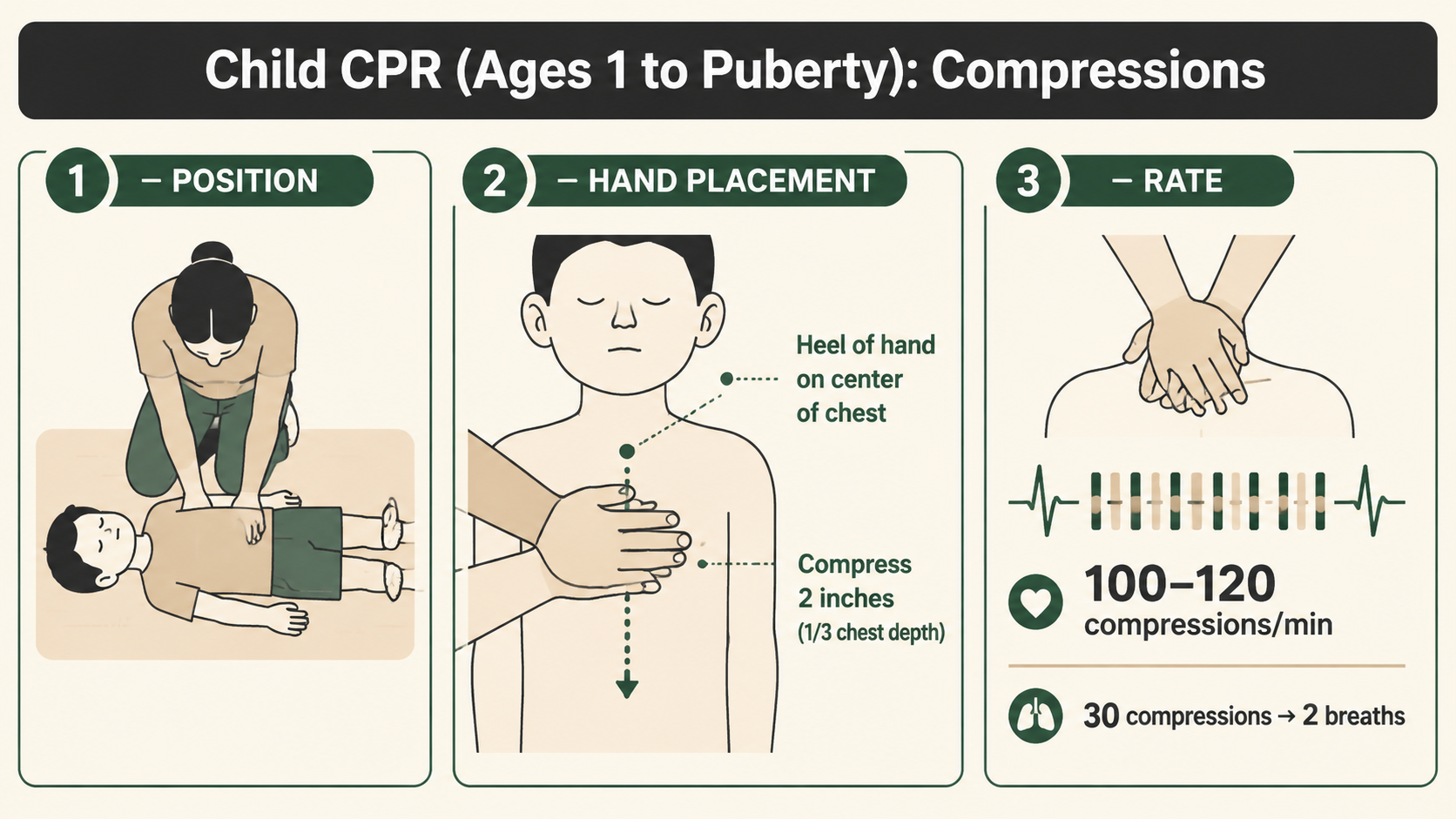 Correct hand placement for CPR on a child - one-hand technique