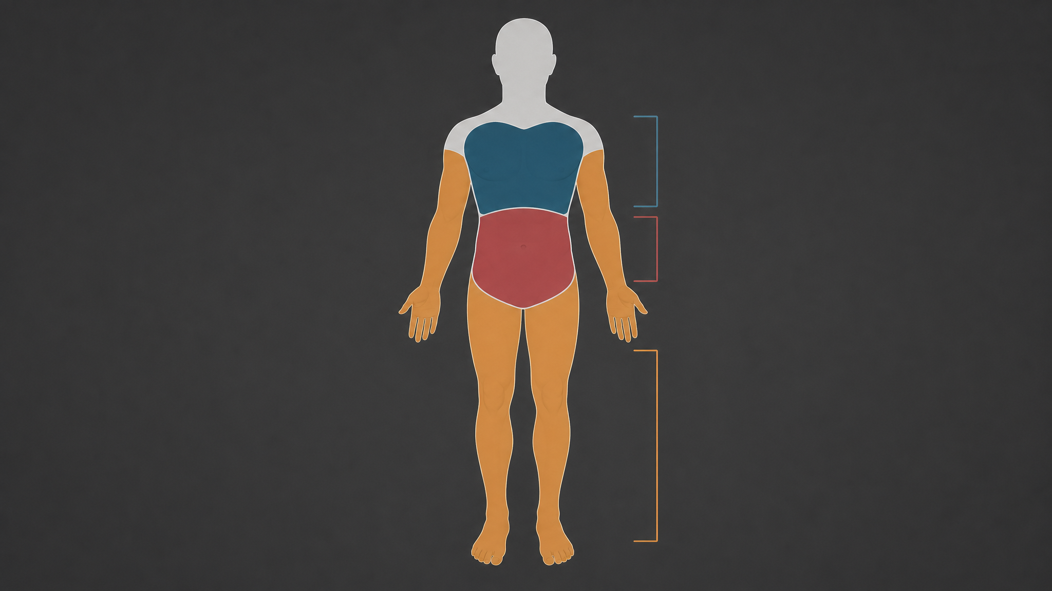 Medical illustration showing a human body with three wound zones highlighted: extremity (arm and leg), chest, and abdomen, each color-coded with intervention labels
