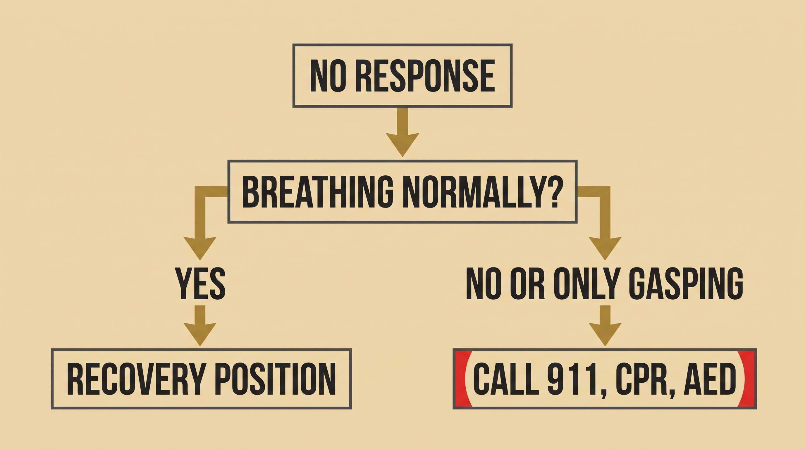 Flowchart: unresponsive person, normal breathing leads to recovery position, not breathing normally leads to 911, CPR and AED