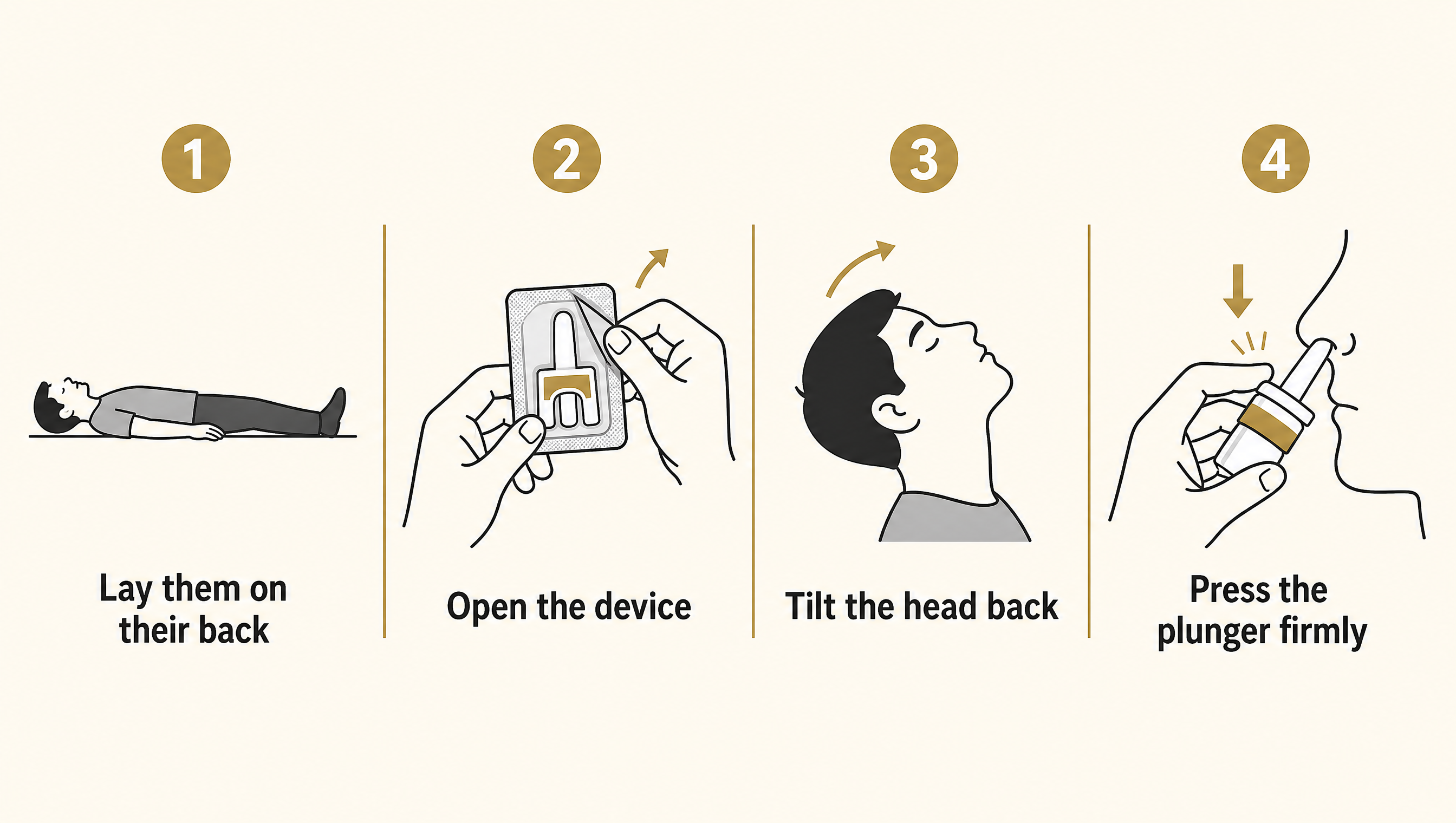 A simple numbered illustration showing the four steps to administer Narcan nasal spray: lay the person on their back, open the device, tilt the head back, and press the plunger