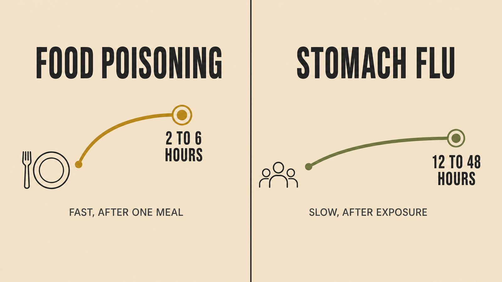 Split-panel illustration comparing onset timelines, one side showing symptoms starting two to six hours after a meal, the other showing symptoms starting twelve to forty-eight hours after exposure