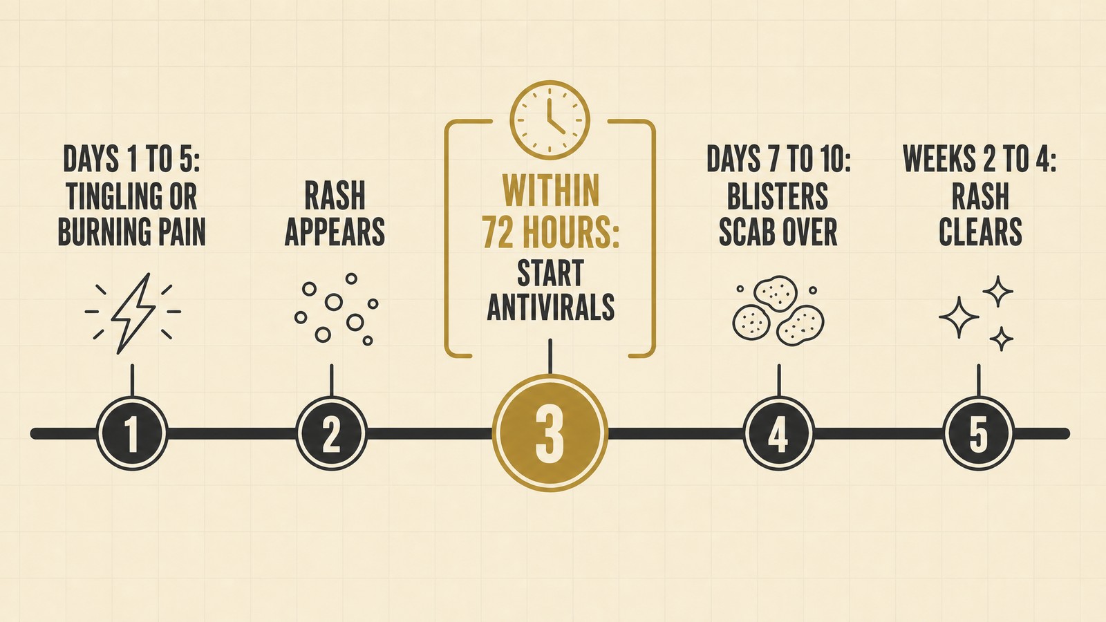 Flat illustrated timeline: days 1 to 5 tingling and burning pain, rash appears, 72 hour antiviral window, blisters scab over in 7 to 10 days, rash clears in 2 to 4 weeks