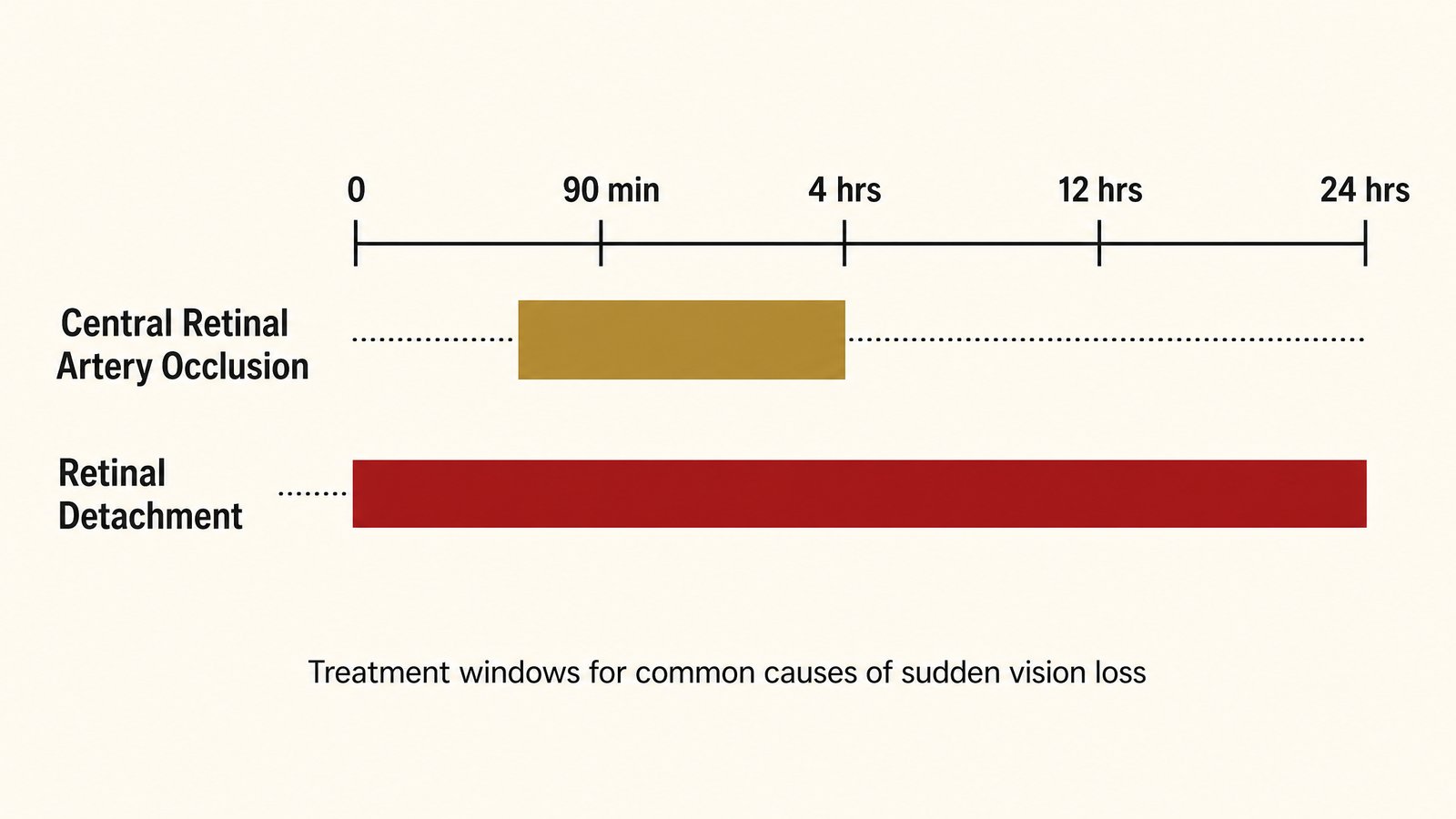 A simple chart comparing eye emergency treatment windows, showing central retinal artery occlusion at roughly 90 minutes to 4 hours and retinal detachment at within 24 hours