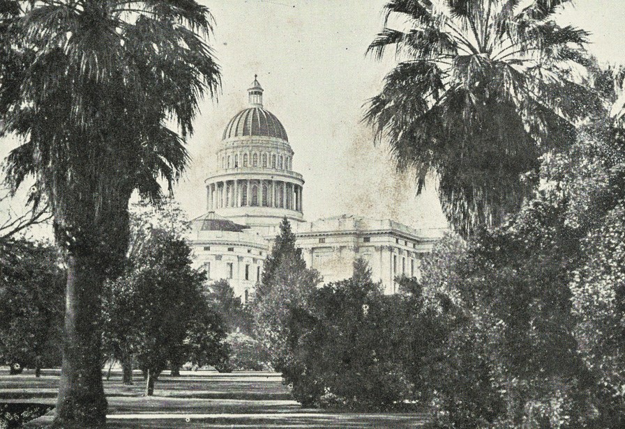 Black-and-white 1924 postcard view of the California State Capitol dome in Sacramento framed by palm trees