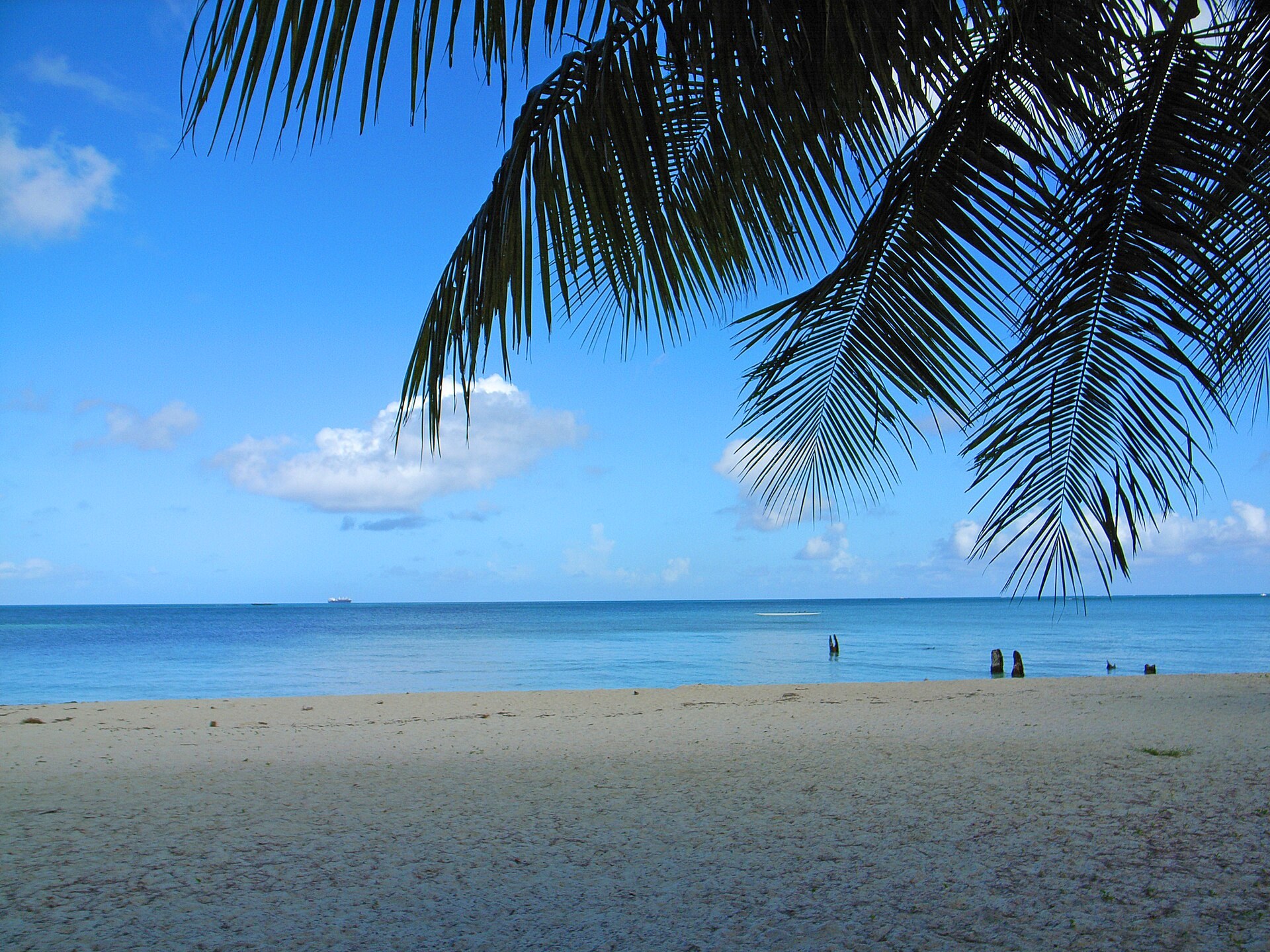 Palm fronds over a white-sand beach and blue lagoon at Micro Beach on Saipan