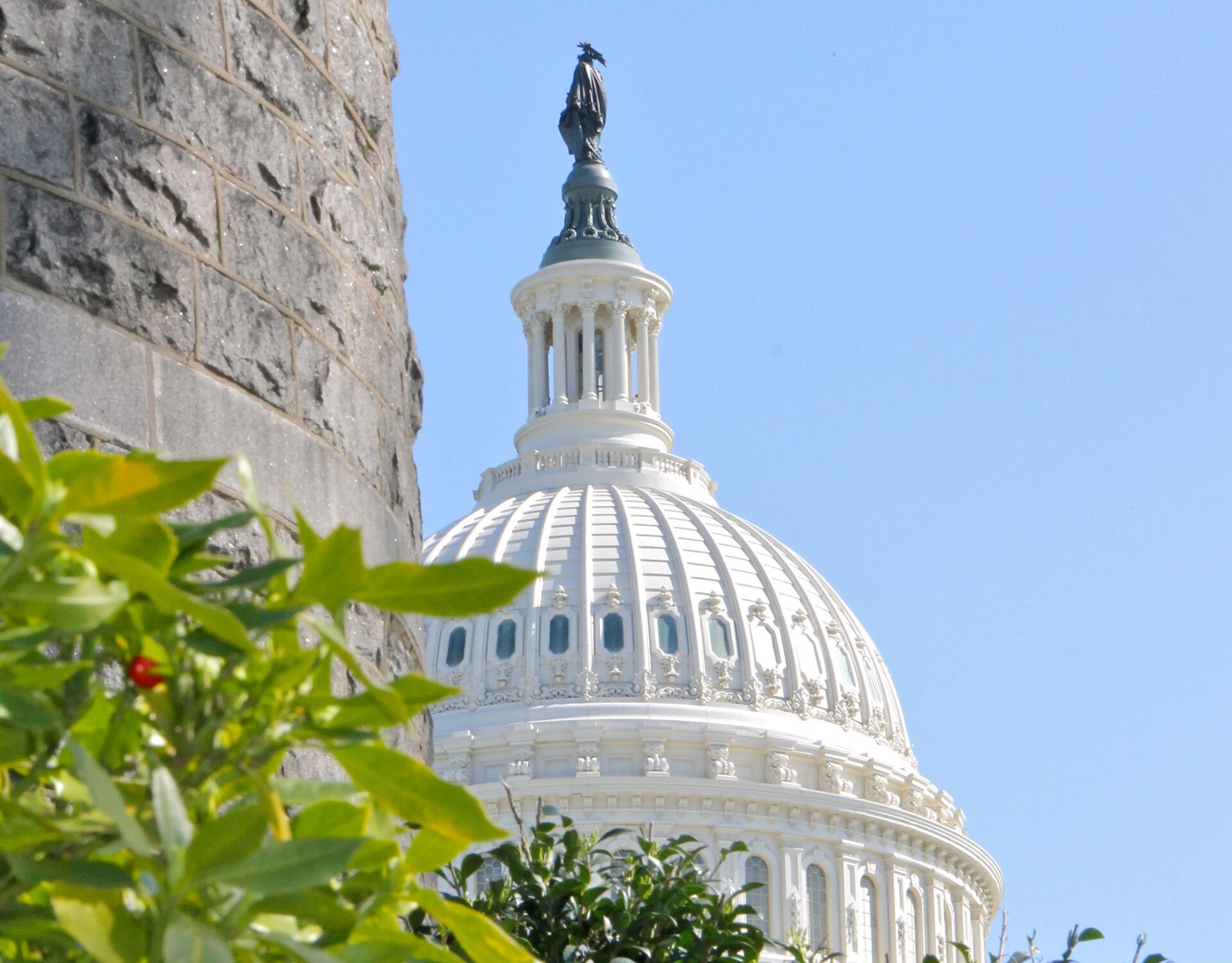 The U.S. Capitol dome seen through trees against a blue sky