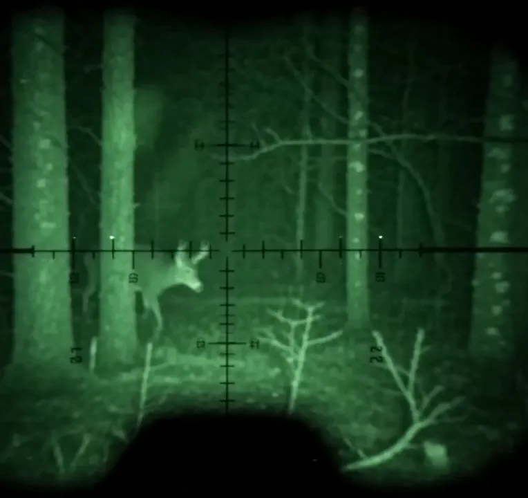 Night vision goggles in use — green-tint dark forest scene