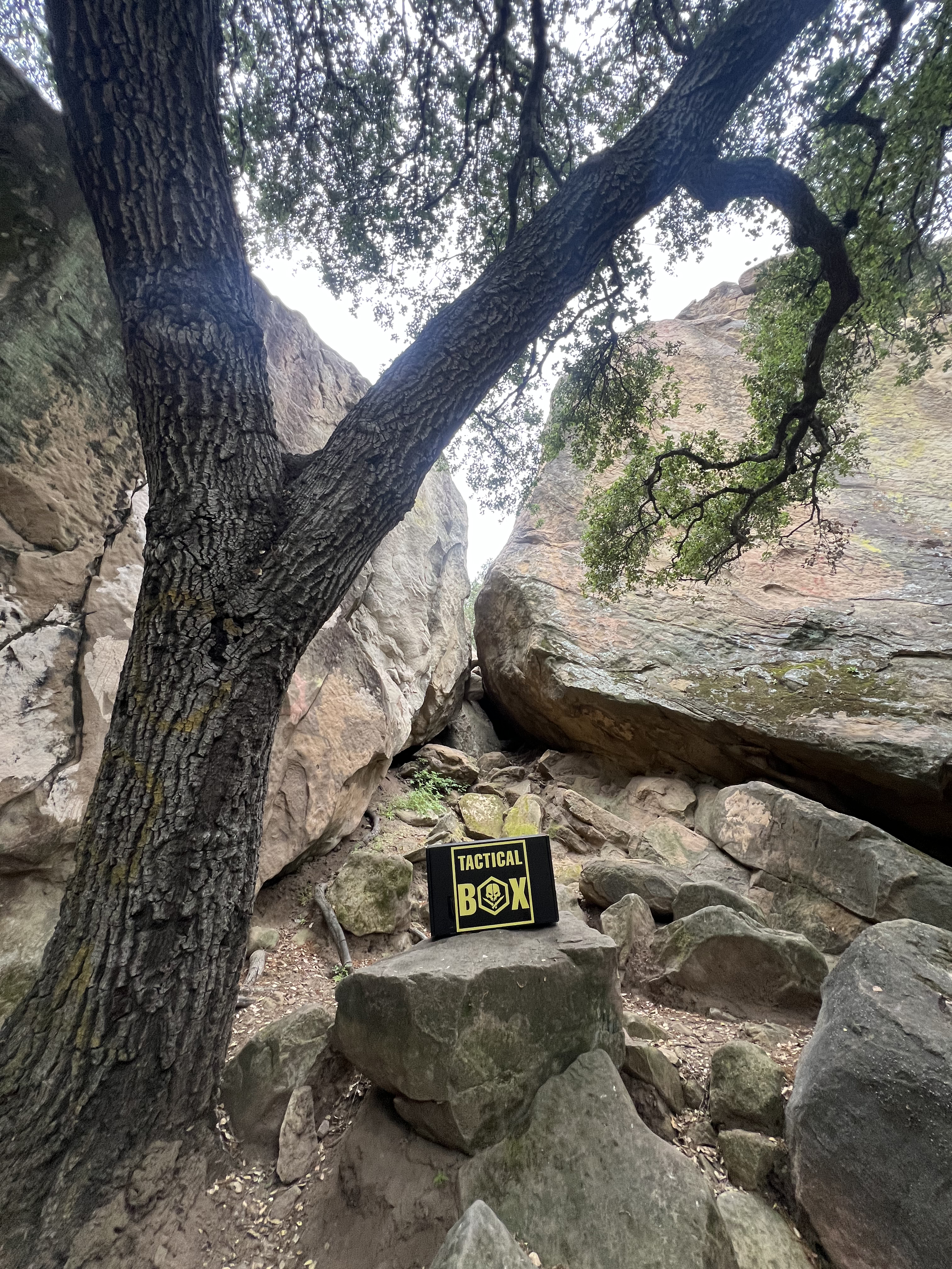 Marcus's TacticalBox — wide backcountry scene, box on rocks between pines