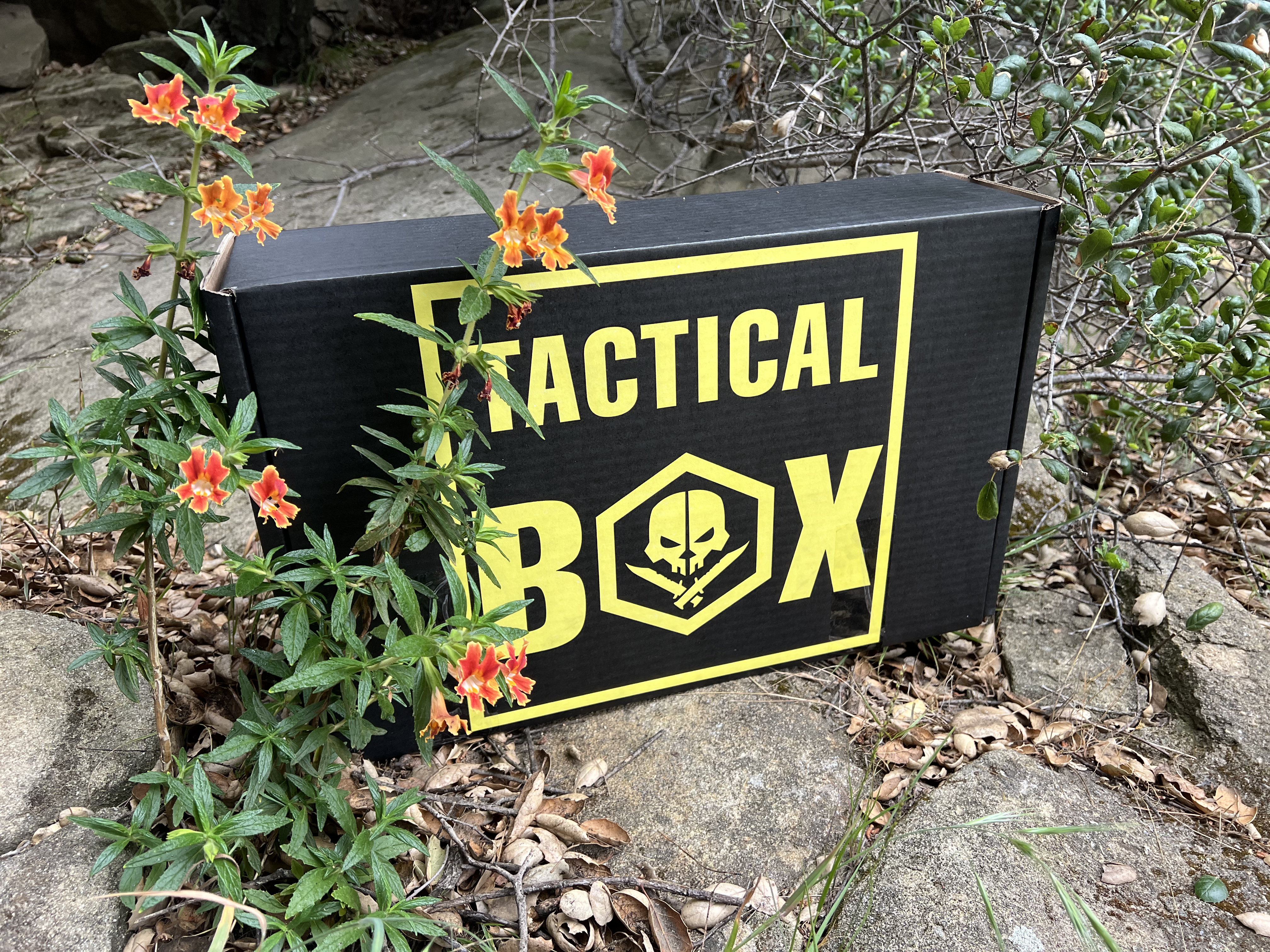 Marcus's TacticalBox out on the trail — box propped on rock among wild orange paintbrush blooms