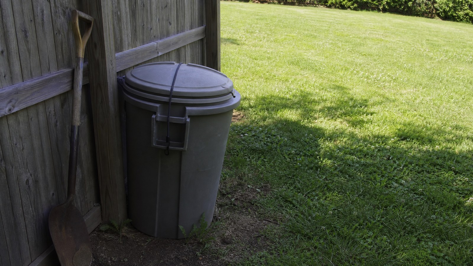 A large plastic trash can with its lid held down by a bungee cord standing in shade against a wooden backyard fence, with a shovel leaning beside it and a wide lawn beyond