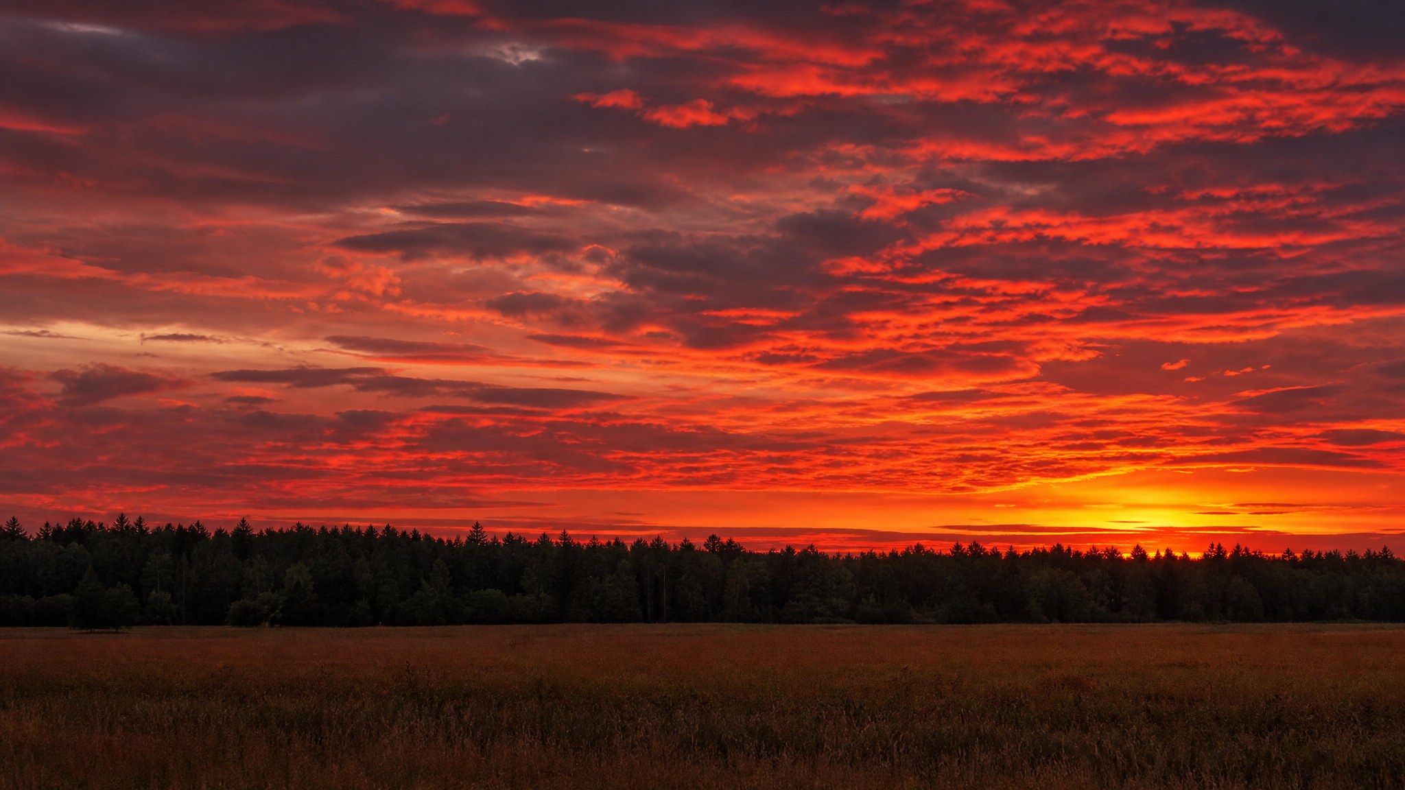 A vivid red and orange sunset sky over a distant tree line, seen from an open field